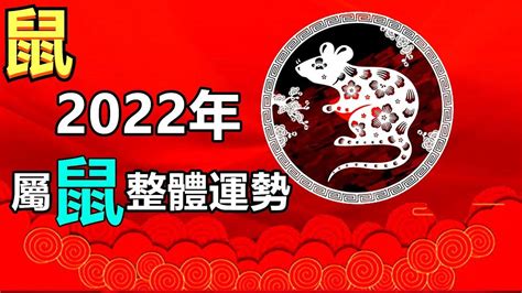 2022年生肖|12生肖2022年运势及运程详解，2022年12生肖全年每月运势完整版